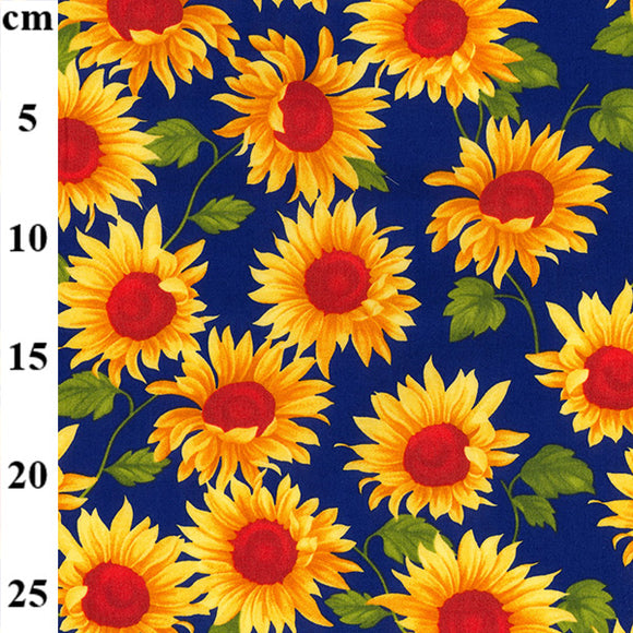 Cotton Poplin Sunflowers on Royal Blue