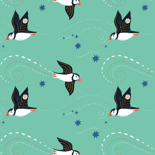 Dashwood Studio - Arctic by Bethan Janine