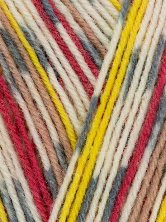 WYS Signature 4ply Sock Yarn - Country Birds (12 Shades)